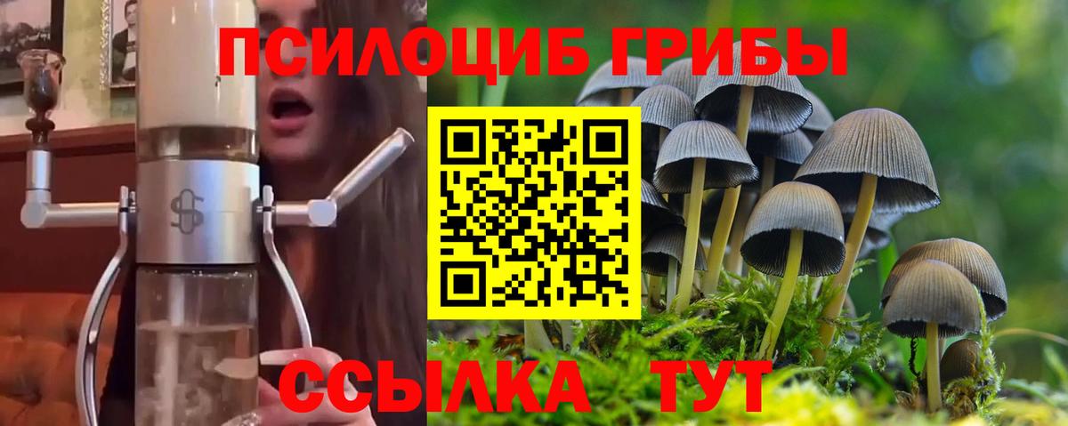 Псилоцибиновые грибы Cubensis Калач-на-Дону